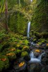 Mossy Grotto Falls, Oregon