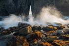 Ocean Spray On Rocky Coastline, Oregon