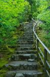 Summer Staris In The Portland Japanese Garden, Oregon