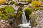 Autumn At Little Falls, Umpqua National Forest, Oregon