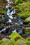 Starvation Creek Falls In Autumn, Columbia Gorge Oregon