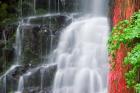 Coopey Falls, Oregon