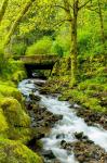 Wahkeena Falls, Oregon