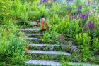 Summer Flowers On Stairs In Pennsylvania