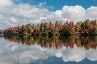 Autumn Lake Reflection Of Ricketts Glen State Park, Pennsylvania