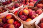 Peaches In Baskets, South Carolina
