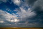 Massive Summer Cloud Formations Over Wheat Fields