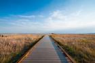 Walkway Going Through The Badlands National Park, South Dakota