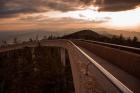 Sunset Over Walkway In The Great Smoky Mountains National Park