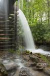 Water Coursed Through Mingus Mill