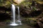 Grotto Falls, Tennessee