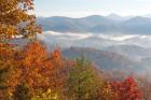 Morning Light Fog Viewed From Foothills Parkway