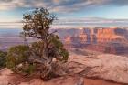 Sunrise At Dead Horse Point State Park, Utah