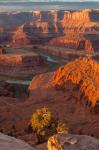 Sunrise On The Colorado River, Utah