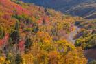 Landscape With Nebo Loop Road, Uinta National Forest, Utah