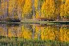 Round Lake Panorama, Utah