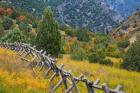 Fence And Meadow Landscape, Utah