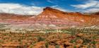 Panorama Of The Grand Staircase-Escalante National Monument