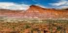 Panorama Of The Grand Staircase-Escalante National Monument