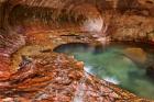 The Subway, Zion National Park, Utah