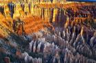 Sunrise At Bryce Point Bryce National Park, Utah