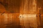 Glen Canyon National Recreation Area Tapestry Wall, Utah