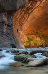 Autumn Foliage Inside The Narrows, Utah