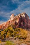 Autumn Foliage In Front Of The Sentinel, Utah