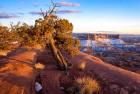 Overlook Vista At Canyonlands National Park, Utah