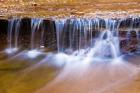 Cascade Along The Left Fork Of North Creek, Zion National Park, Utah