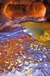 The Subway Along North Creek With Fallen Leaves, Utah