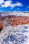 Fresh Powder On Rock Formations In The Silent City, Utah