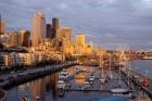 Seattle Skyline From Pier 66, Washington