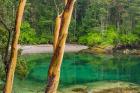 Secluded Bay On Sucia Island, Washington State