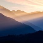 Sunset In The Olympic National Forest