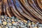 Beach Rocks And Driftwood