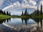 Mt Rainier And Clouds Reflecting In Upper Tipsoo Lake