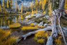 Horseshoe Lake Landscape In The Alpine Lakes Wilderness