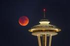 Blood Moon Rises Over The Seattle Space Needle