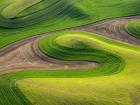 Whitman County Aerial, Washington