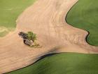 Lone Farmhouse Of The Palouse Region, Washington