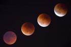 Composite Of The Phases Of A Total Lunar Eclipse
