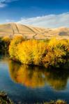 Autumn Color Along The Yakima River