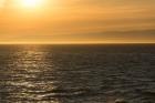 Evening Light At The Strait Of Juan De Fuca