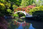 Moon Bridge In The Kubota Gardensm Washington State