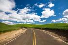 Backroad Through The Green Fields Of Washington