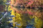 Deep Fall Colors, Wenatchee River, Washington State