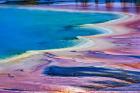 Pattern in Bacterial Mat, Midway Geyser Basin, Yellowstone National Park, Wyoming