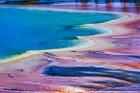 Pattern in Bacterial Mat, Midway Geyser Basin, Yellowstone National Park, Wyoming