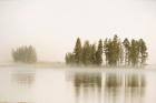 Morning Fog Along The Yellowstone River In Yellowstone National Park